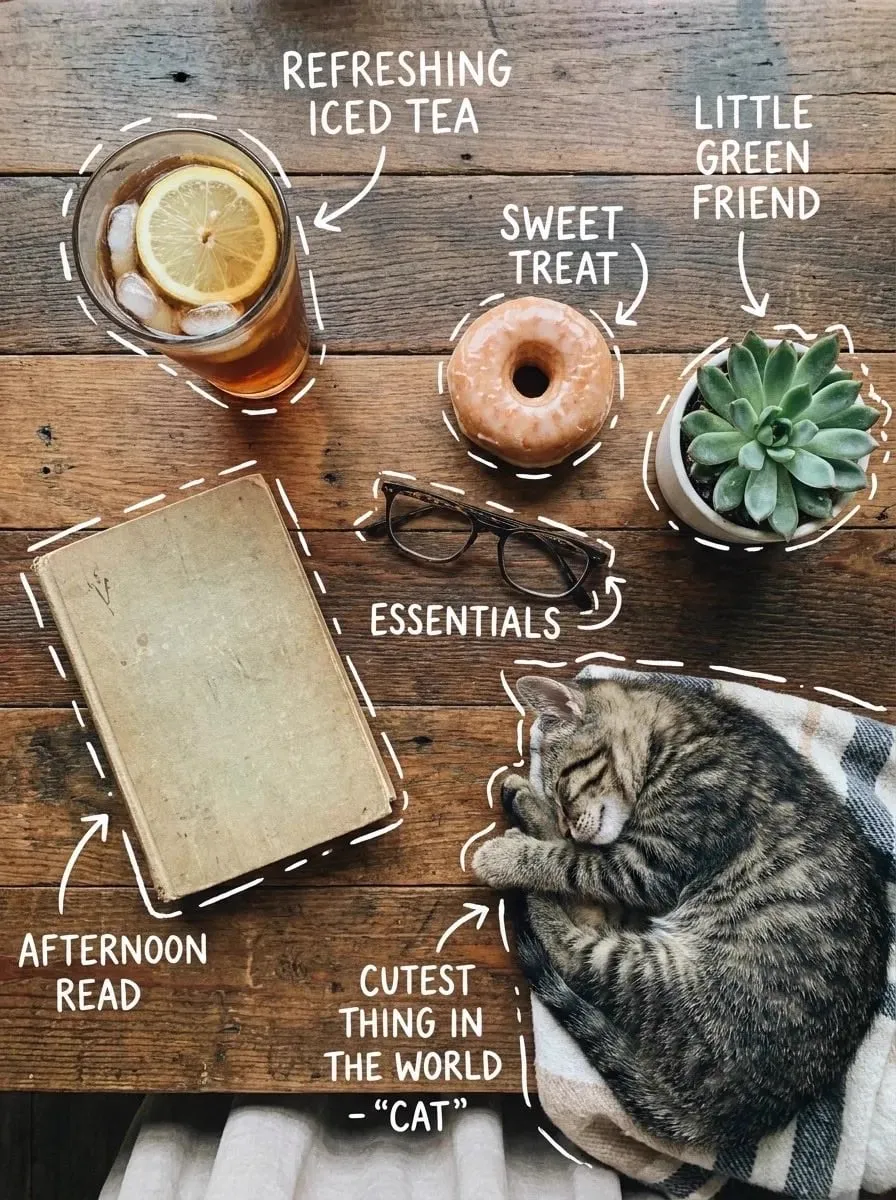 Top-down flat lay on a rustic wooden table, cozy aesthetic, soft natural light