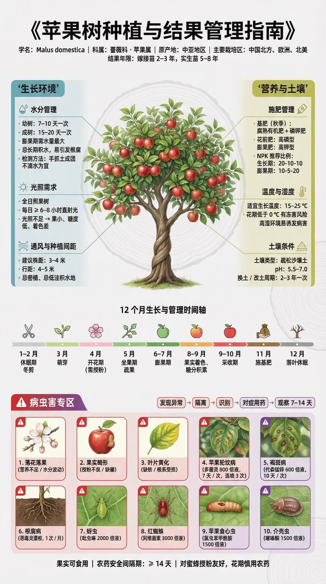 果树种植科普展板 | 3:4 竖版 | 博物馆级信息设计 【主标题】 「××果树种植与结果管理指南」 字体:思源黑体 / 思源宋体混排,确保中文清晰渲染… — 1/4