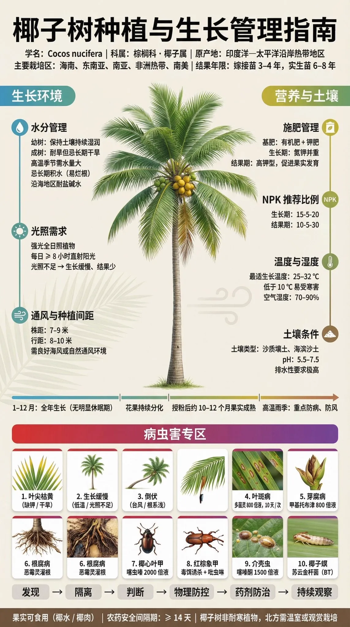 果树种植科普展板 | 3:4 竖版 | 博物馆级信息设计 【主标题】 「××果树种植与结果管理指南」 字体:思源黑体 / 思源宋体混排,确保中文清晰渲染… — 3/4