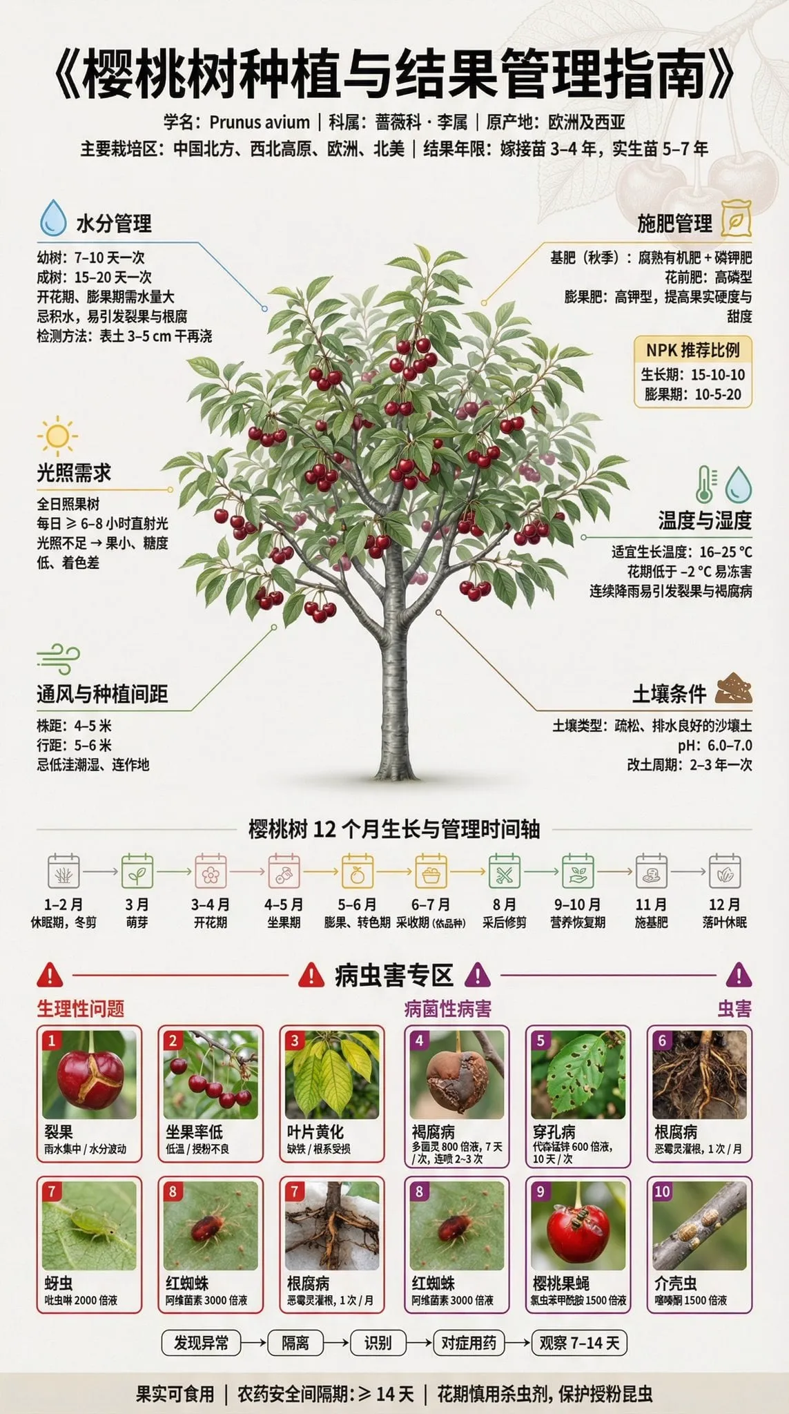 果树种植科普展板 | 3:4 竖版 | 博物馆级信息设计 【主标题】 「××果树种植与结果管理指南」 字体:思源黑体 / 思源宋体混排,确保中文清晰渲染… — 4/4