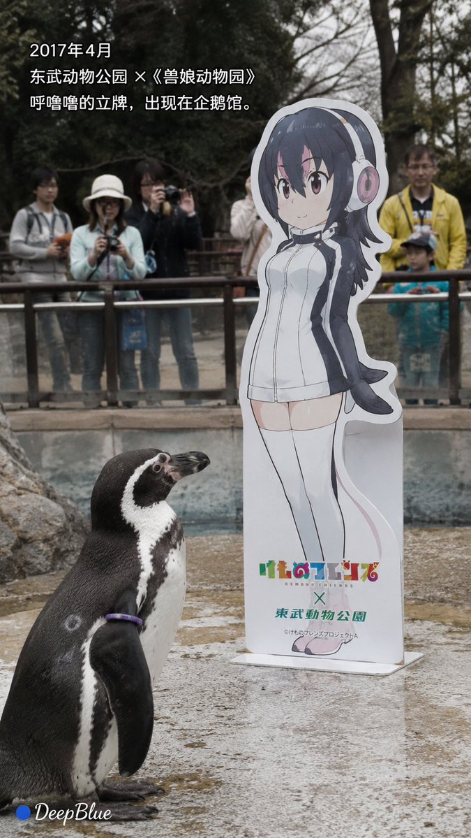 Documentary Photo Sequence of Penguin Story