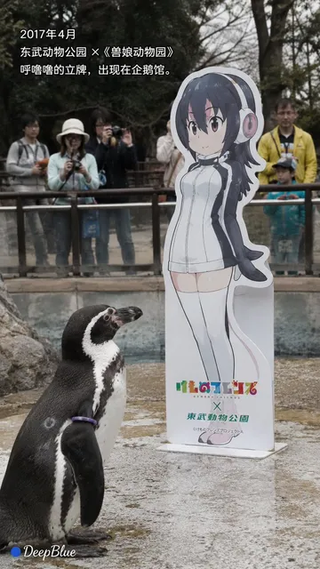 Documentary Photo Sequence of Penguin Story