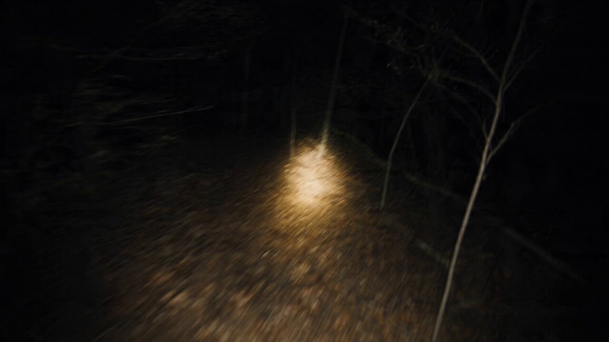 Found-Footage POV Forest Horror