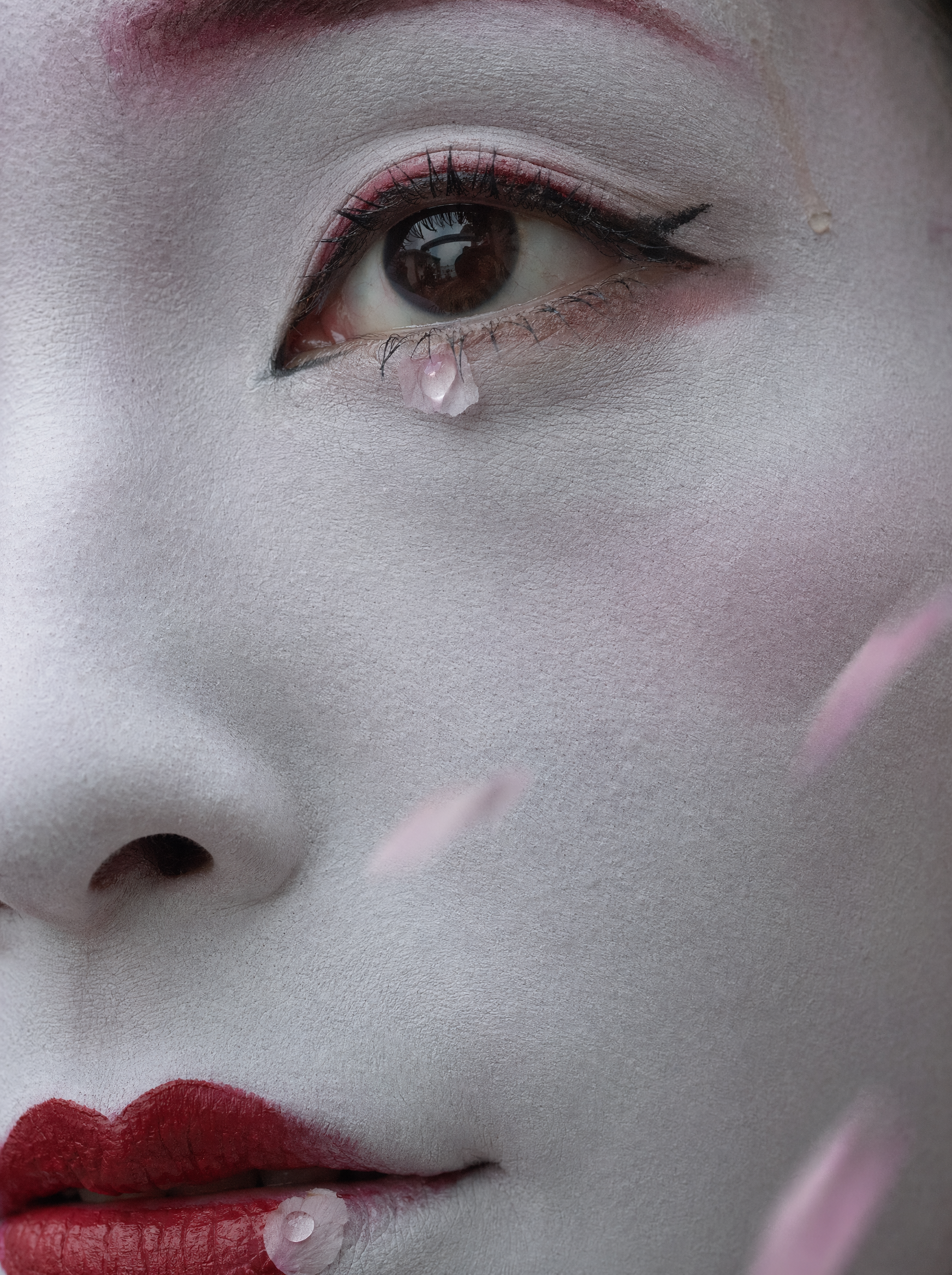 Extreme macro close-up photograph, documentary beauty photography, shot on medium...